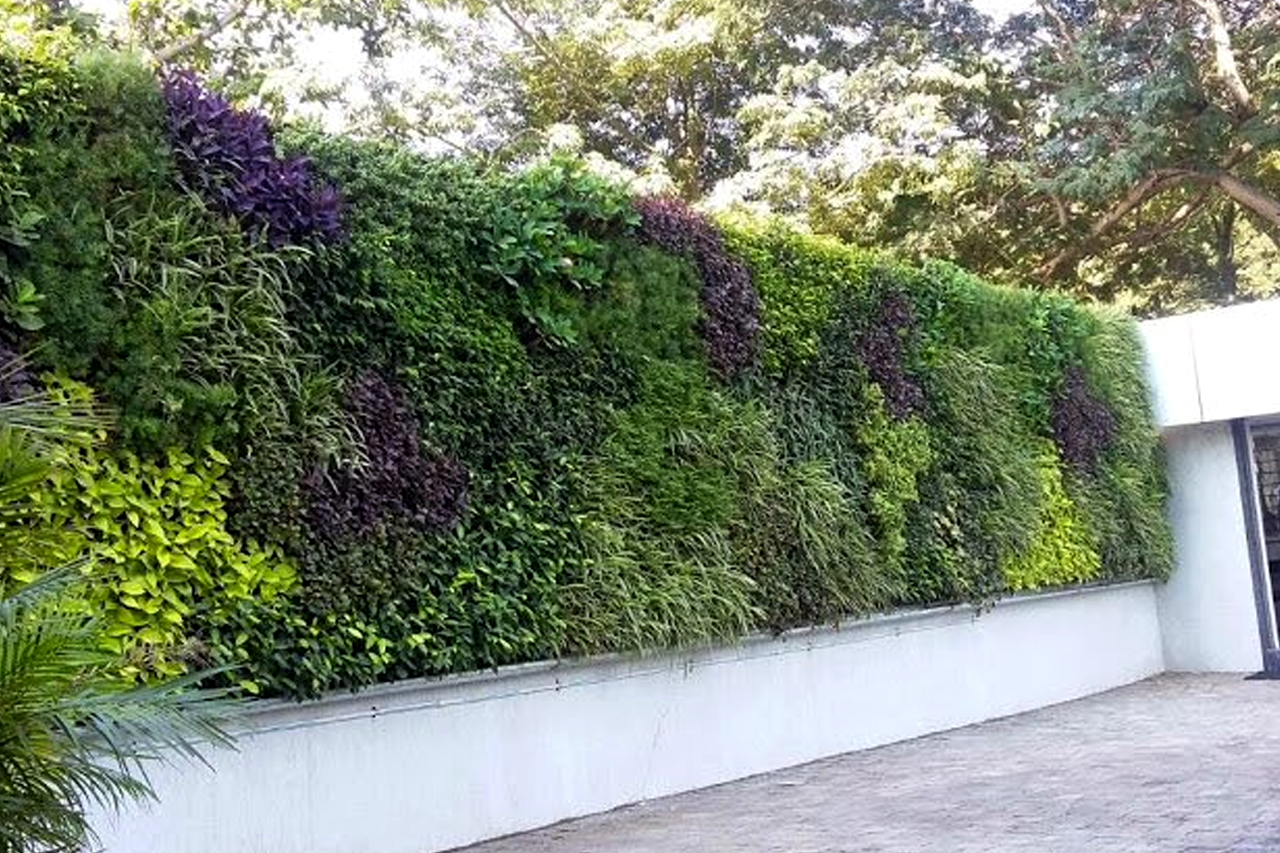 Sbl Farms Green walls and Living walls, Vertical Garden, Bio Curtains